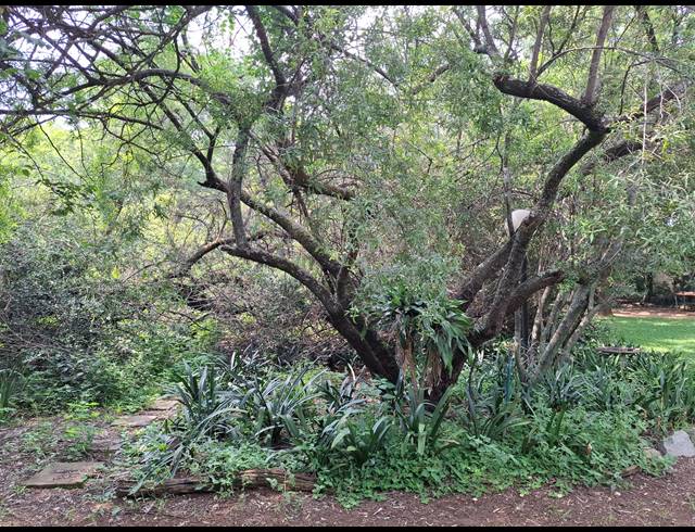 1,526M² VACANT LAND FOR SALE IN BRYANSTON EAST